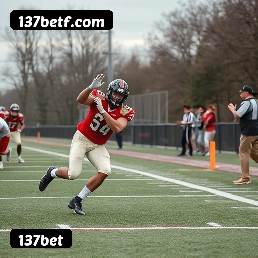 Estatísticas de bônus da 137bet em São Paulo, Rio de Janeiro e Brasília